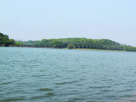 水 湖 公园
