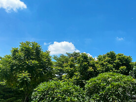 夏日天空