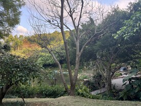 青秀山