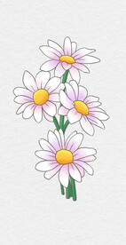 手绘小雏菊花束