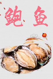 鲍鱼
