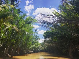 湄公河