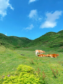草原风景