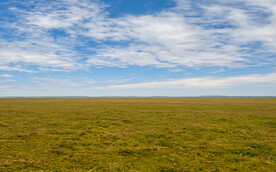 大草原