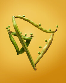 豆荚