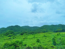 高山草地