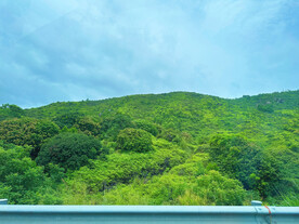 高山草地