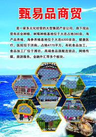 海的风景