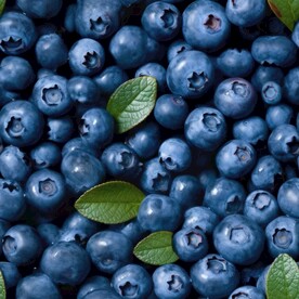 蓝莓