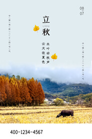 立秋海报素材