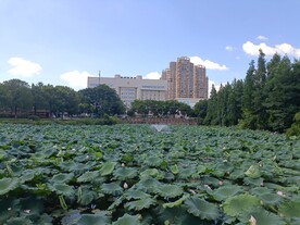 遗爱湖公园