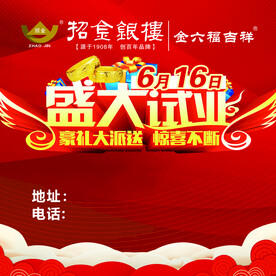 盛大试业海报