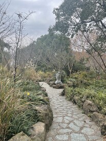 公园的小路