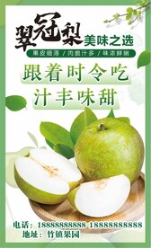 翠冠梨 海报