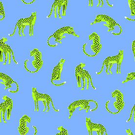 豹子