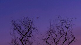 背景底纹