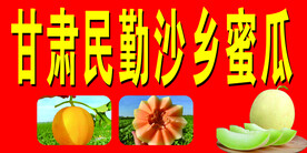 蜜瓜 水果 瓜类