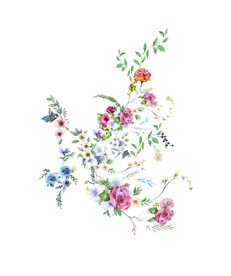 大牌花