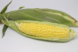 玉米