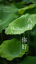 你好八月