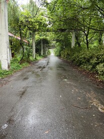 园林小道