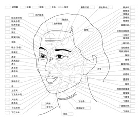 美容模板