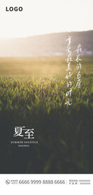 夏至海报