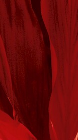抽象红色背景