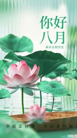 你好八月