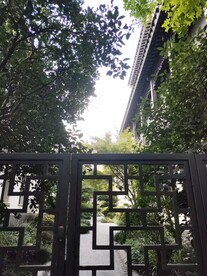被围住的绿