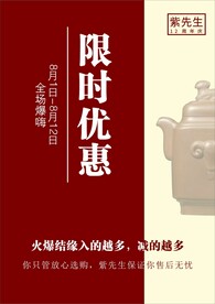 限时优惠 紫砂壶海报 活动