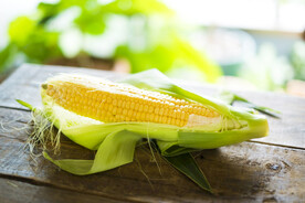 玉米