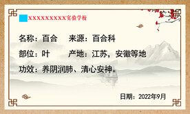 中药名称
