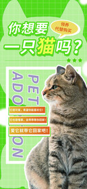 猫咪海报宠物便利服务宣传海报