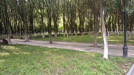 风景