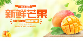 芒果展板