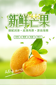 芒果海报