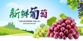 葡萄促销