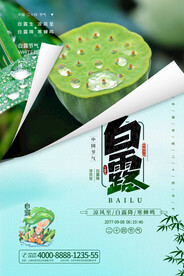 白露 二十四节气