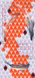锦鲤