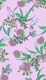分色花