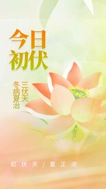 初伏