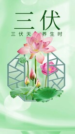 三伏天