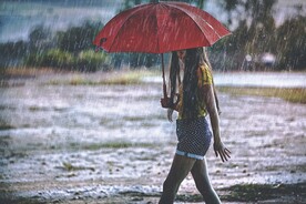 雨伞