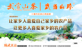 武当山茶