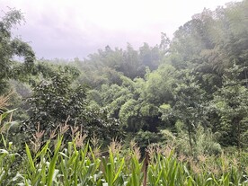 农村生活
