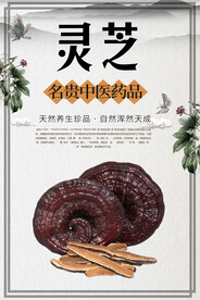 灵芝