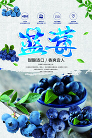 蓝莓海报