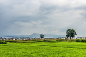 美丽乡村