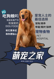 宠物之家